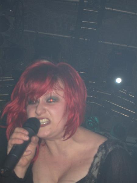 Lame Immotrelle vom 20.02.2008-009.jpg